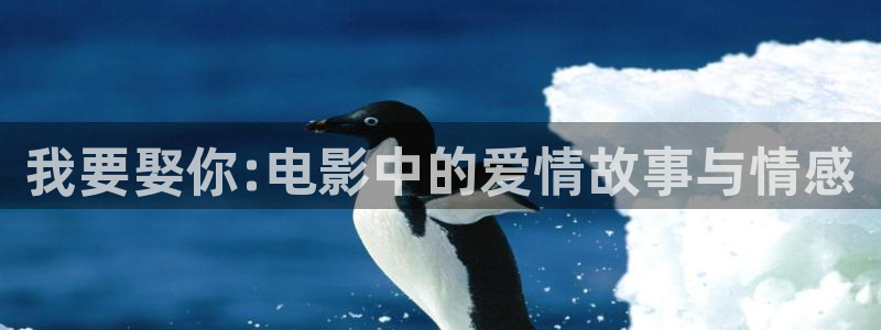 新视觉yy6080影院