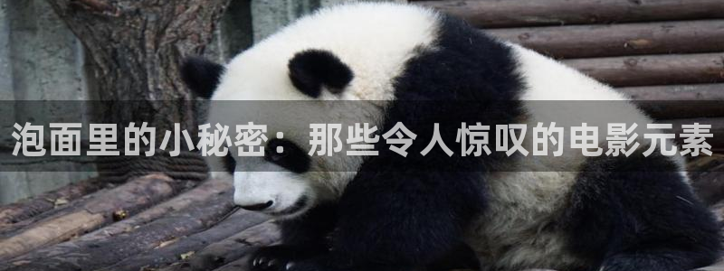 新视觉私人网