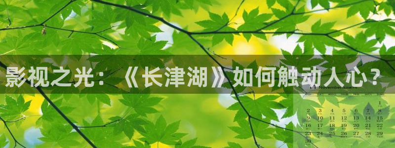 新视觉免费电影