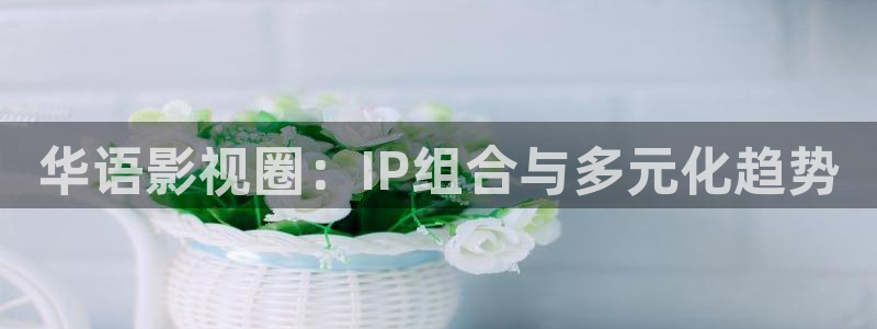 6860新视觉