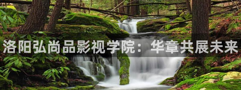 山东新视觉数码科技有限公司简介