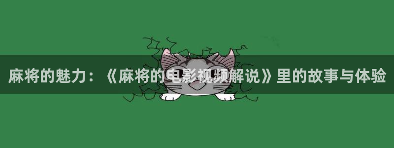 新视觉官网