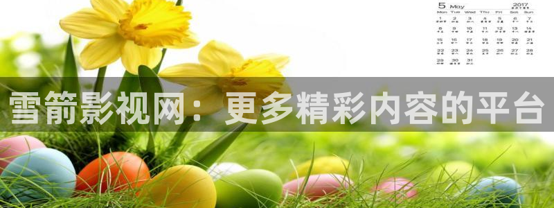 新视觉6080在线免费观看