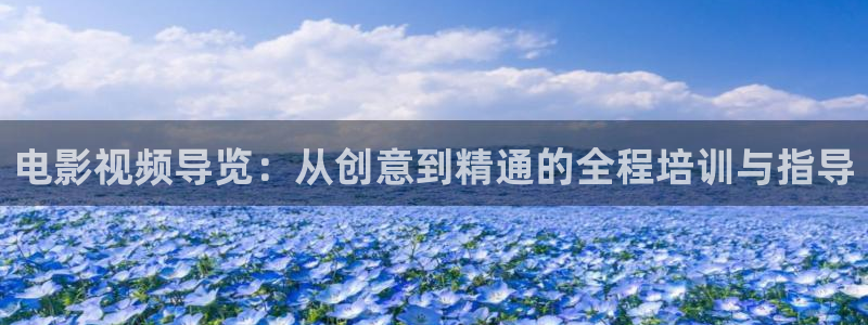 新视觉电视剧在线观看