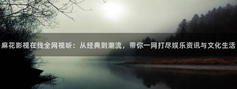6080新视觉免费网站