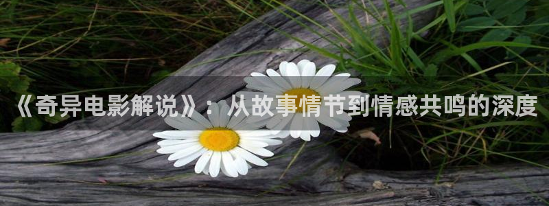 河南新视觉网络科技有限公司