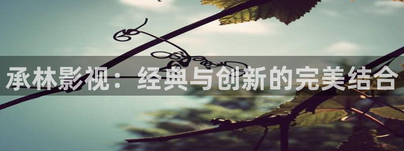 新视觉6080在线观看电影