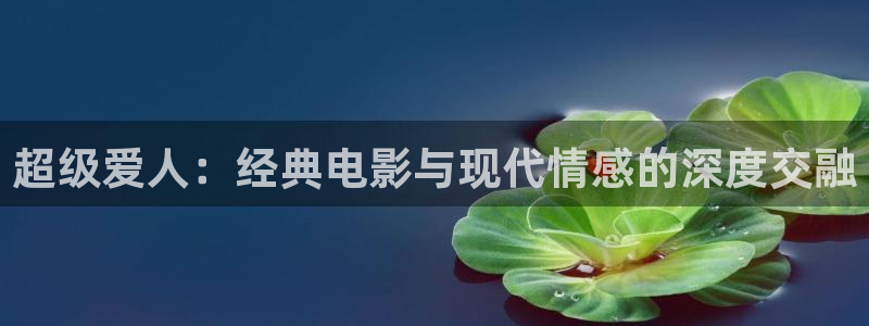 苏州新视觉电子科技有限公司