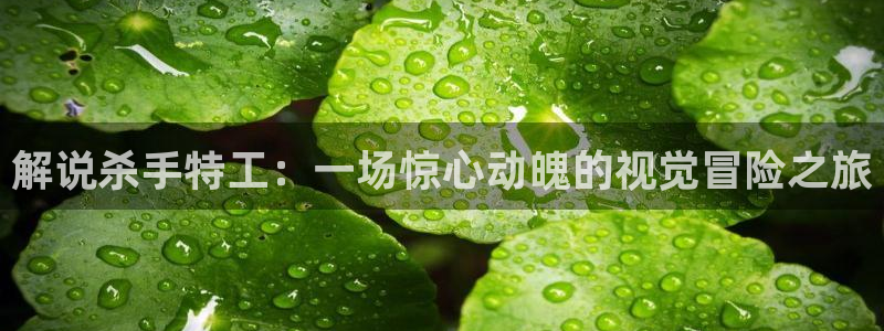 蓝雨6080新视觉免费观看电影