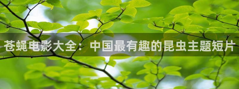 新视觉电影院6080在线观看免费