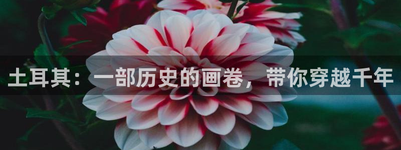 济南新视觉