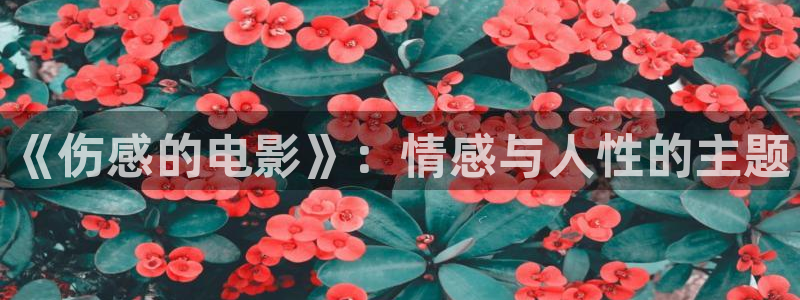 新视觉影视剧推荐6080观看