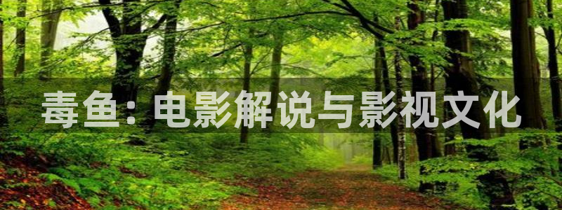 新视觉在线电影