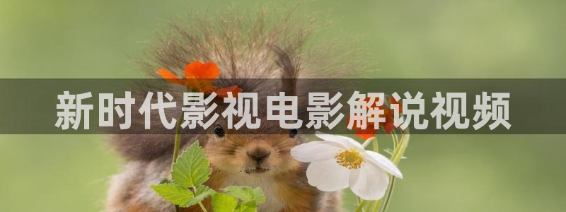 新视觉影院手机版