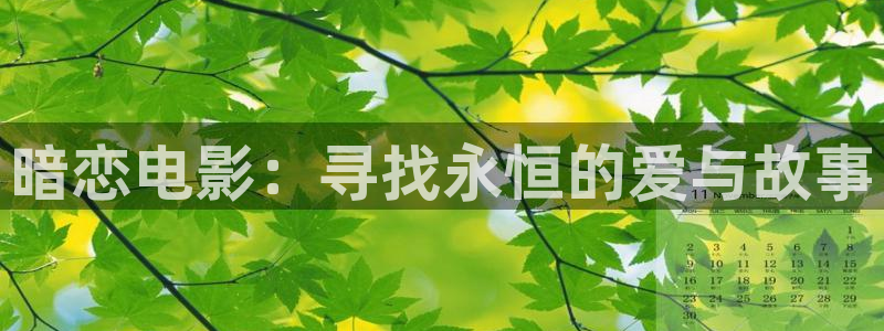 4480yy新视觉