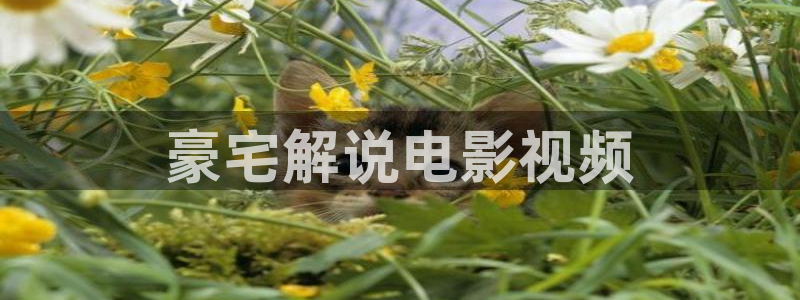 搜索新视觉