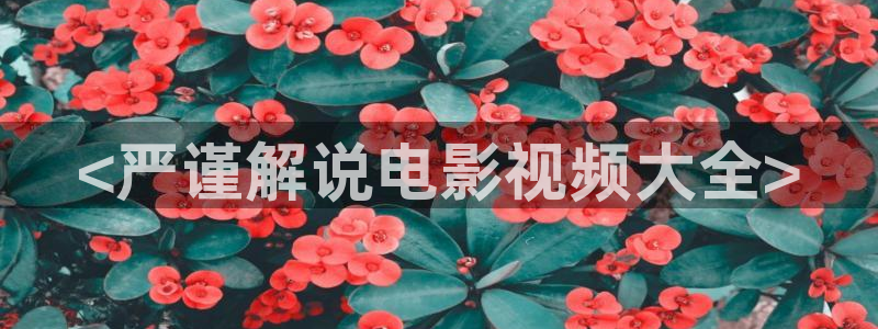 yy6090新视觉电视剧