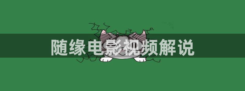 新视觉影院6080ok电影