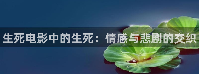 yy4480新视觉影院