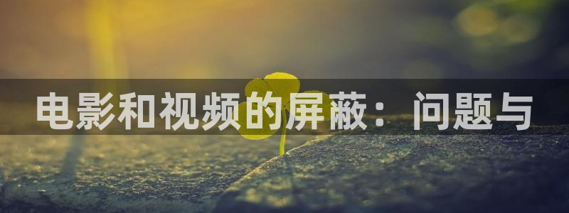 新视觉6080三级