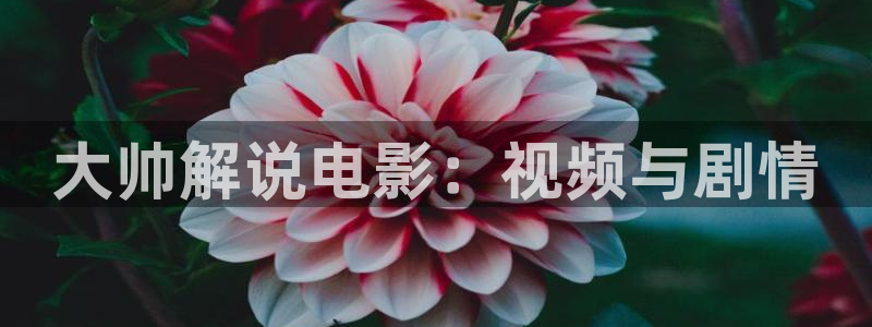 新视觉6080电影免费观看