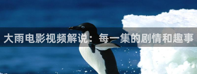 6080新视觉电影院免费观看