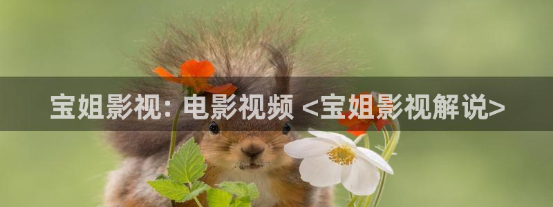 青苹果乐园新视觉