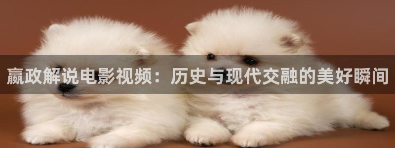 新视觉午夜剧场