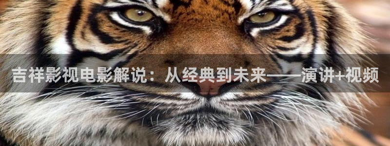 新视觉现实生活片