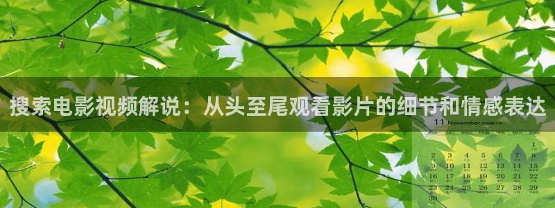 新视觉影院在线观看6080