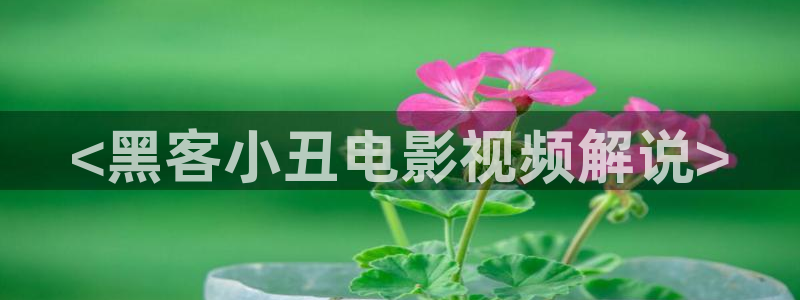 yy6080新视觉手机影院