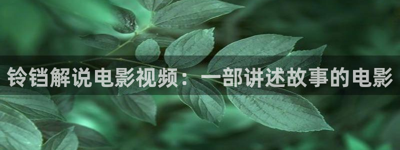 新视觉下载