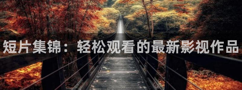 新视觉影院飘花