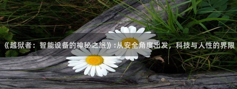 新视觉影院8060