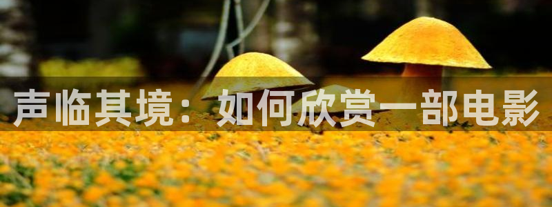 新视觉电视剧官网长津湖