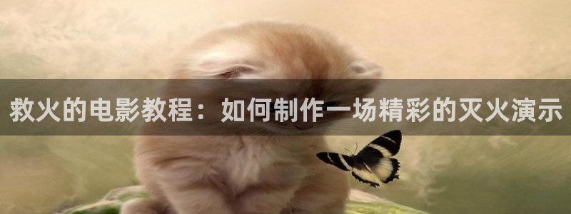 新视觉摄影怎么样