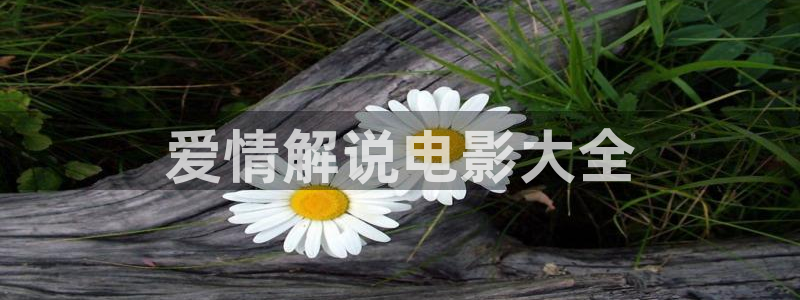 新视觉电影在线观看平台