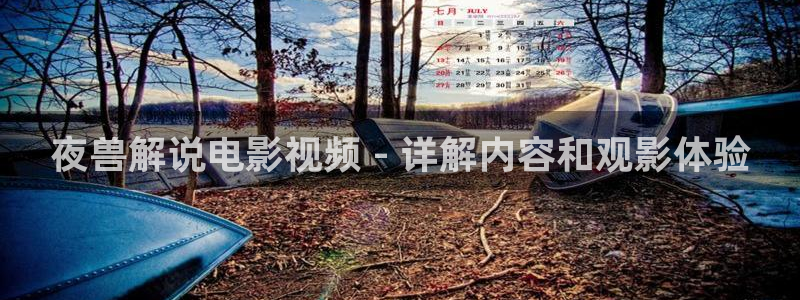 新视觉免费看电影