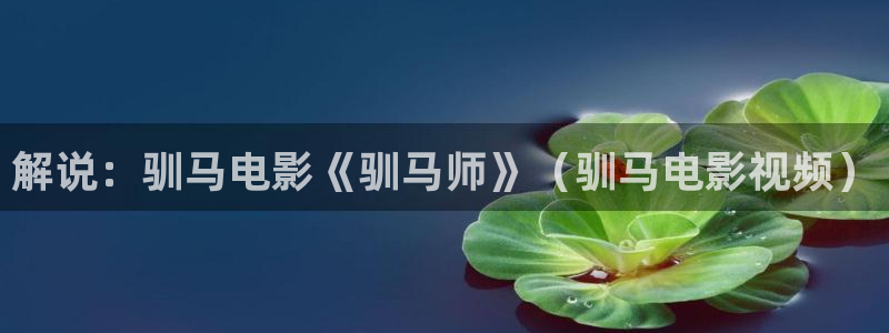 6080新视觉影视电影高清在线观看