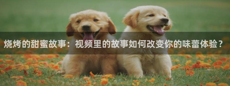 新视觉yy6094高清电视剧在线