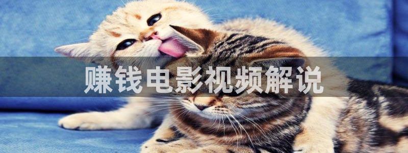 新视觉影院.野花电影网