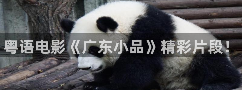 yy6080新视觉电影网