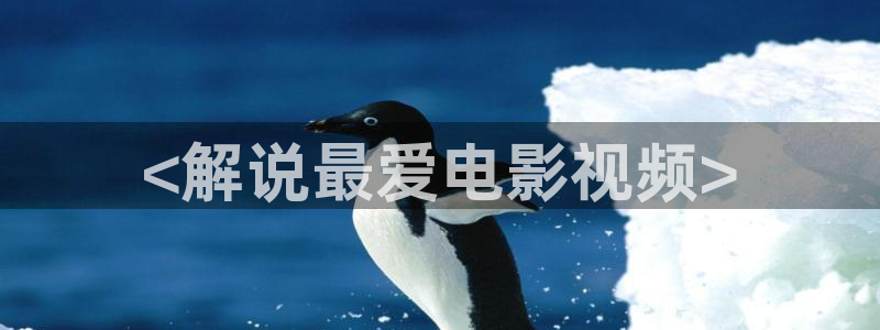 8090新视觉电影免费播放
