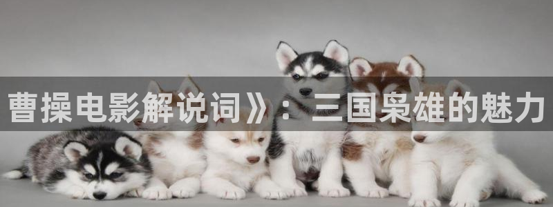 8090新视觉在线影院