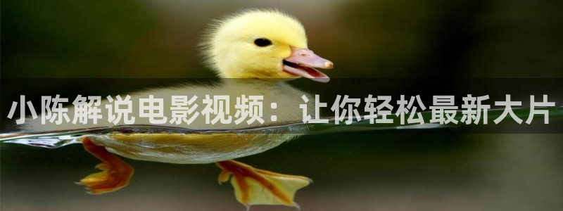 yy6080新视觉影院