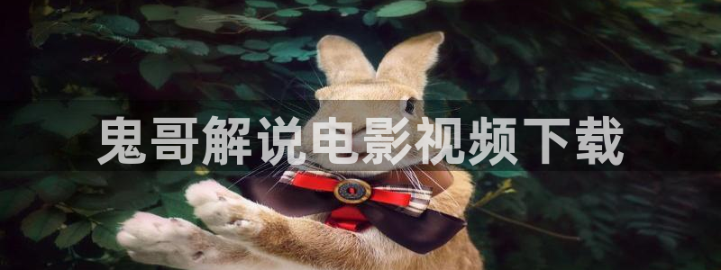 www6080新视觉