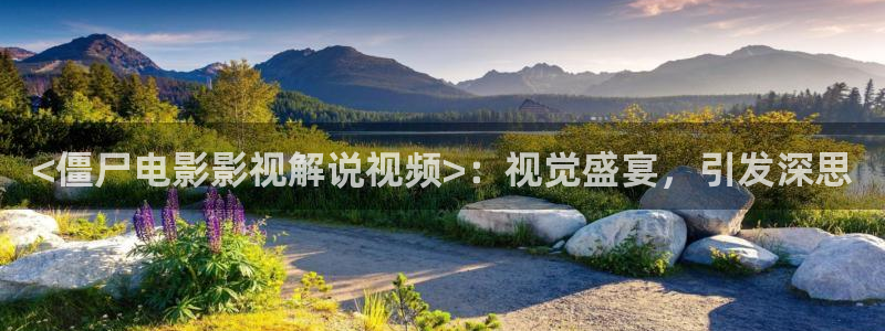 yy6080新视觉高清