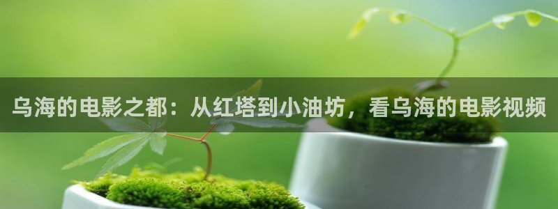 新视觉拼音