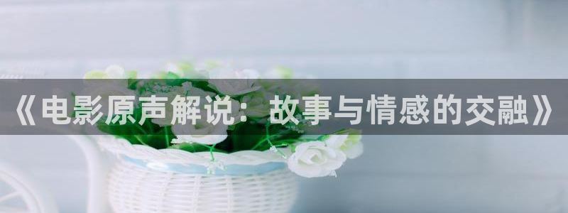 8060新视觉影视