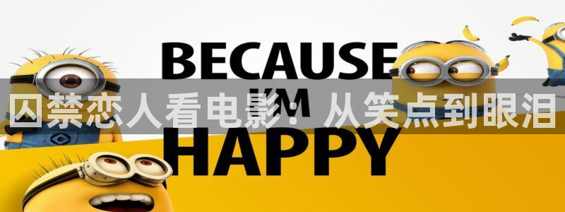 新视觉影院播放器